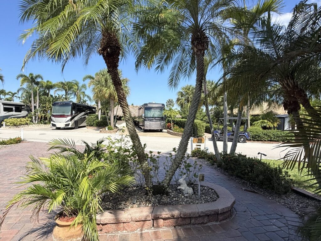 Lot 466
